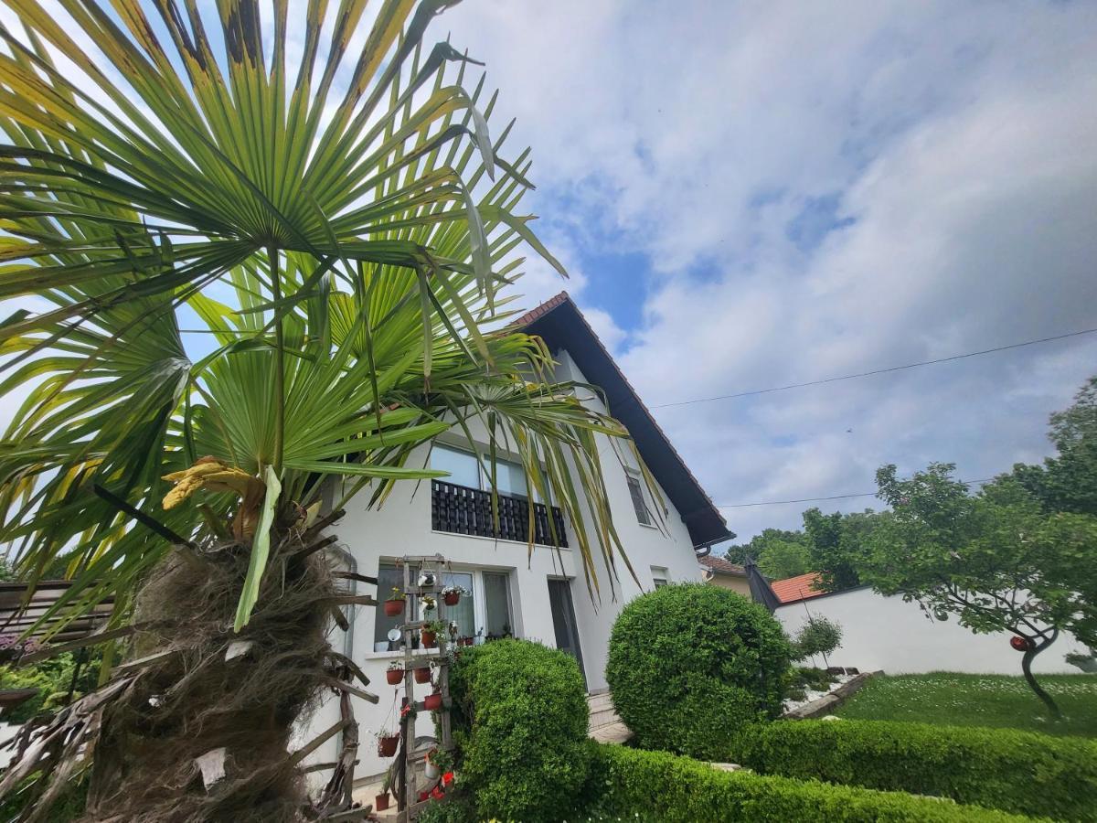 Vila Jovana Vrdnik Exterior foto