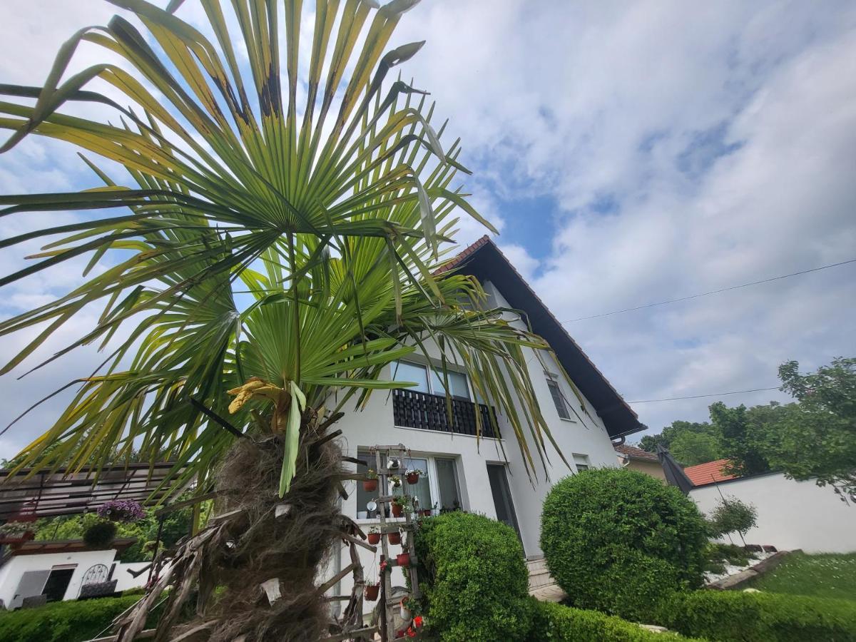 Vila Jovana Vrdnik Exterior foto